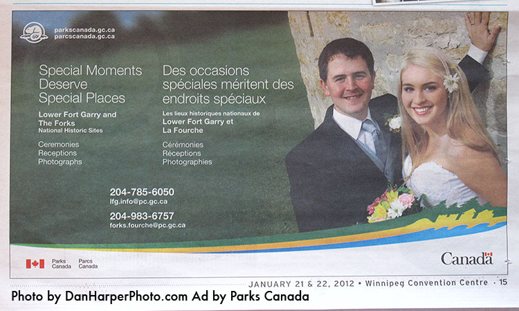 Dan Harper image in Wedding show flyer
