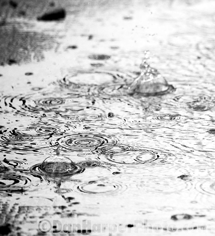 rain stock photo